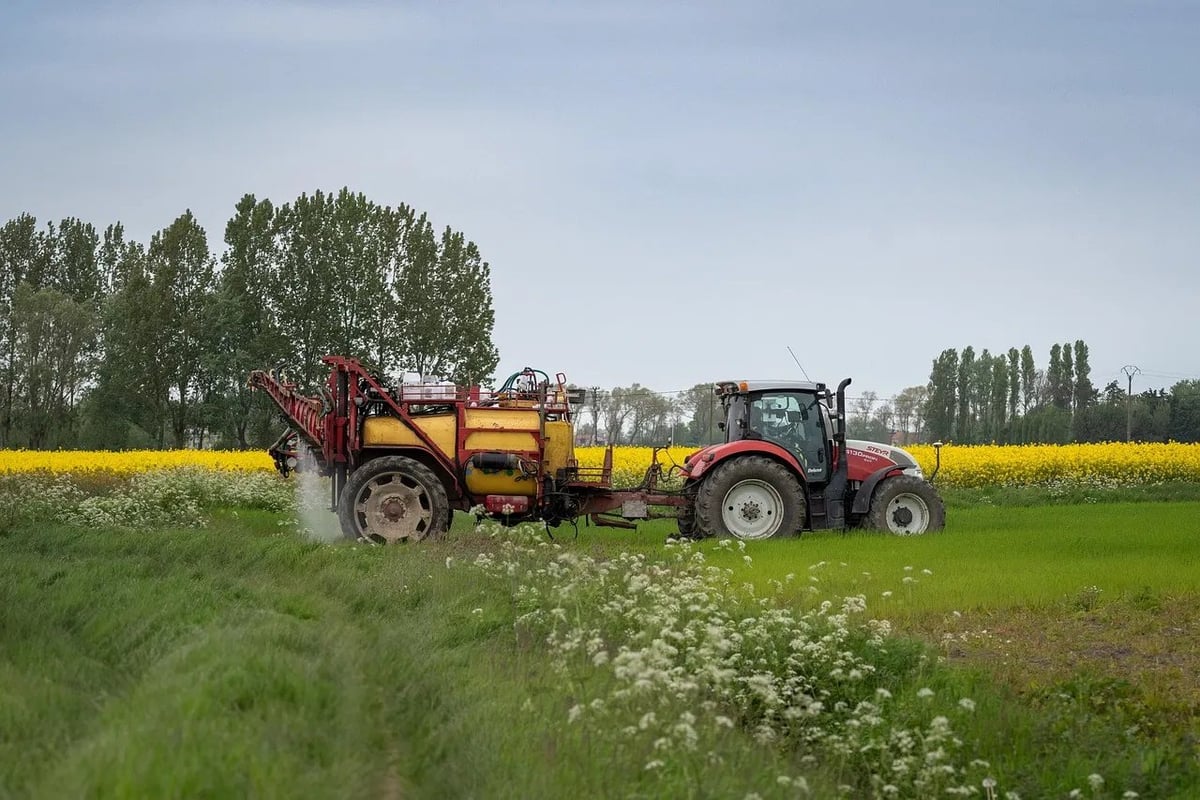 Anthony Ménard à la tête de la FNSEA régionale : portrait d’un agriculteur engagé et visionnaire