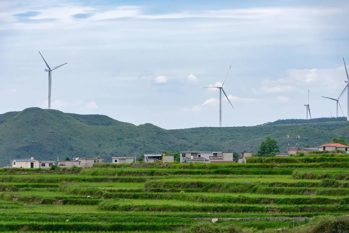 Vers un avenir meilleur : les enjeux et solutions du développement durable