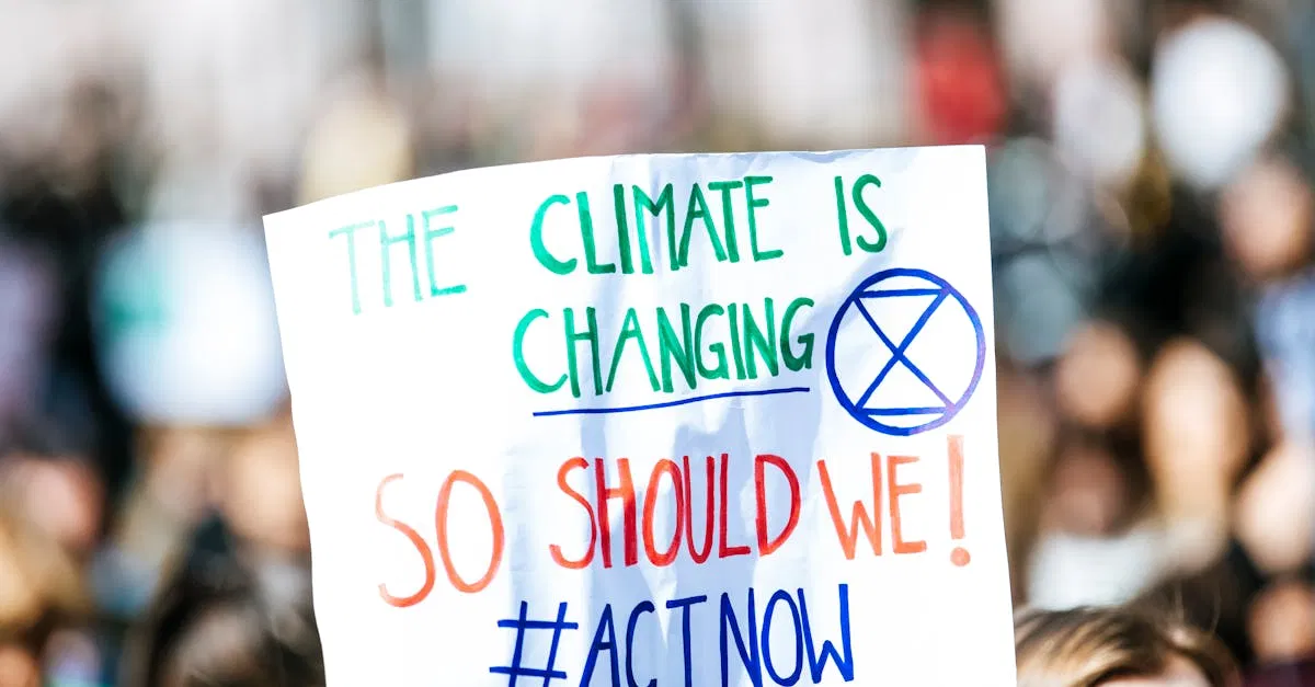 Impact économique du changement climatique sur les pays en développement