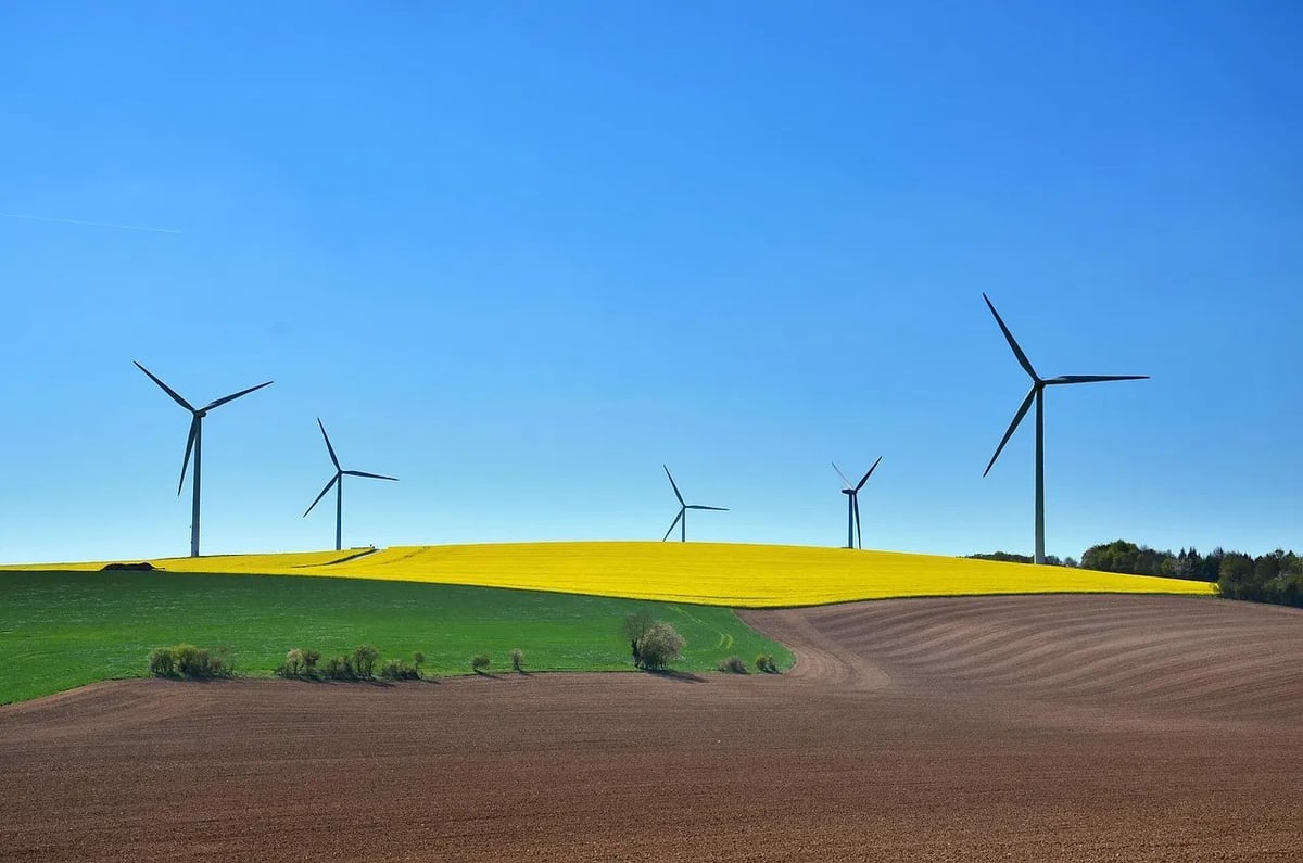 Développement durable : L’Autorité propose des lignes directrices pour une nouvelle plateforme collaborative dédiée à l’empreinte carbone des fournisseurs en grande distribution