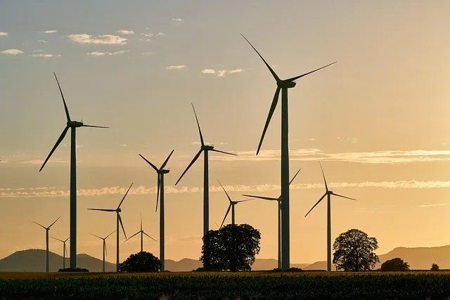 Sport et développement durable : Construire une industrie engagée et écoresponsable
