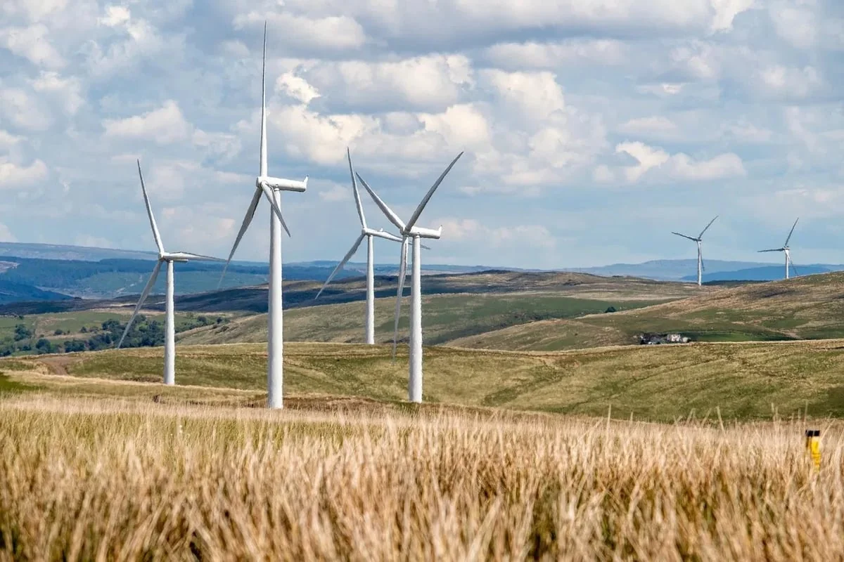 Les énergies renouvelables : un levier pour la transition écologique