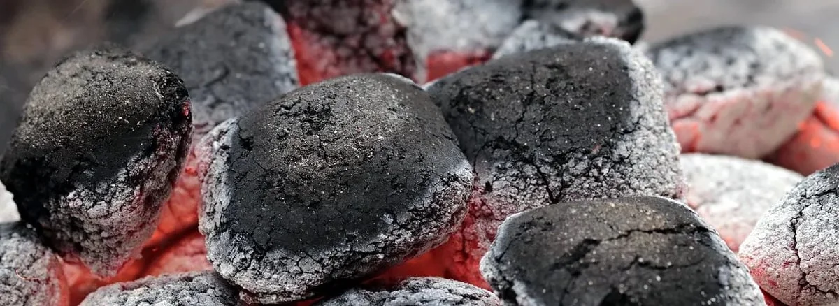 Label Bas-Carbone : Valoriser les Champions de la Lutte contre le Changement Climatique
