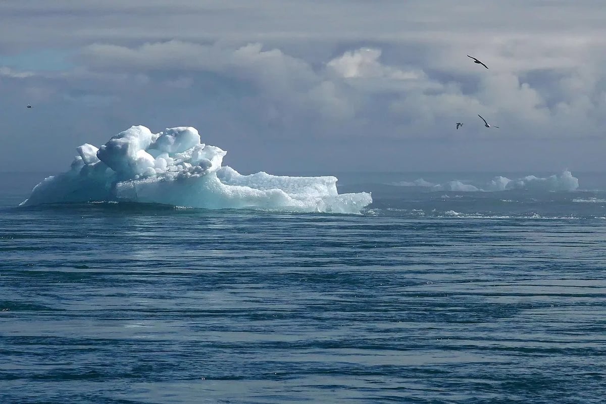 L’impact du changement climatique : enjeux et solutions pour un avenir durable