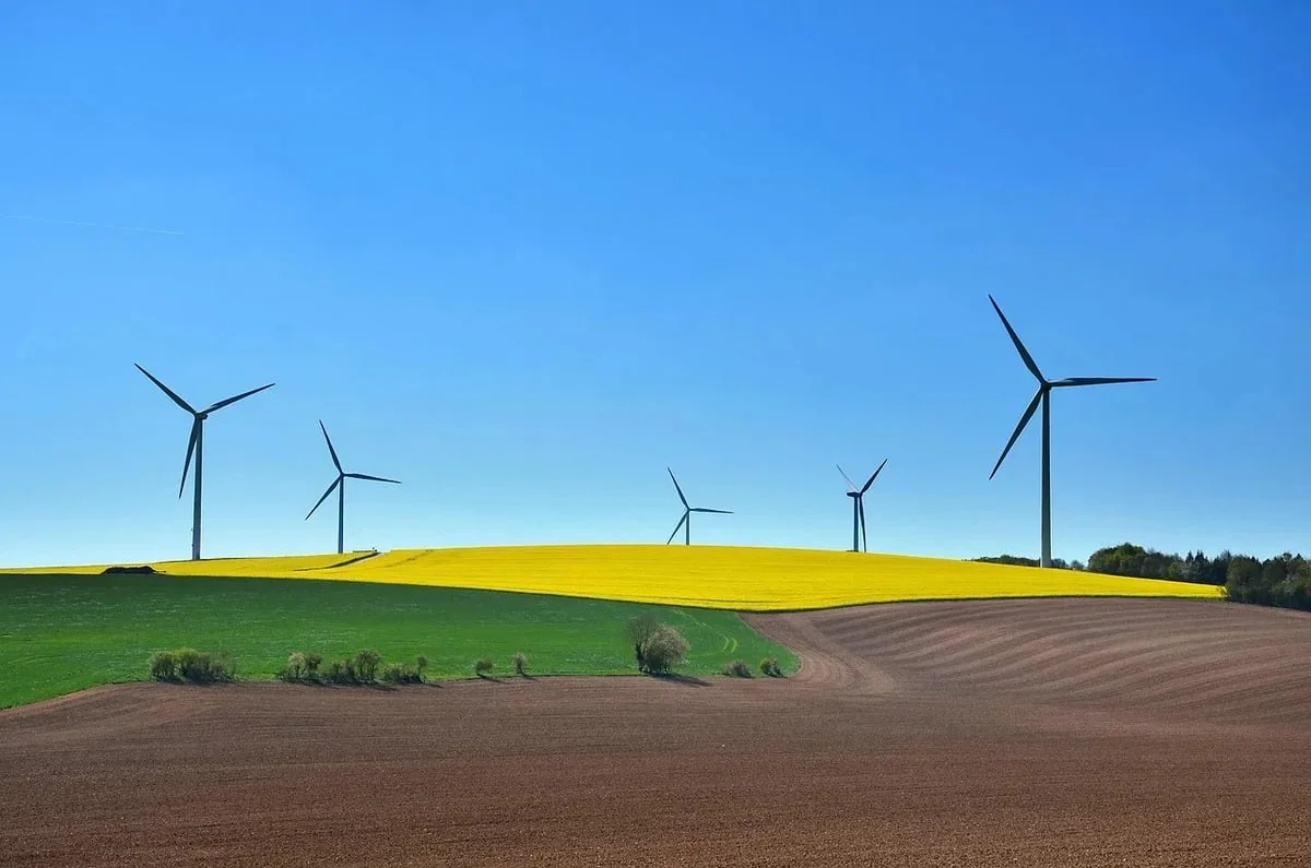 Développement durable : un tour d’horizon des initiatives marquantes de 2024 !