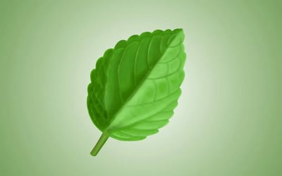 Valérie Huyg : une icône inspirante des gestes écologiques au quotidien