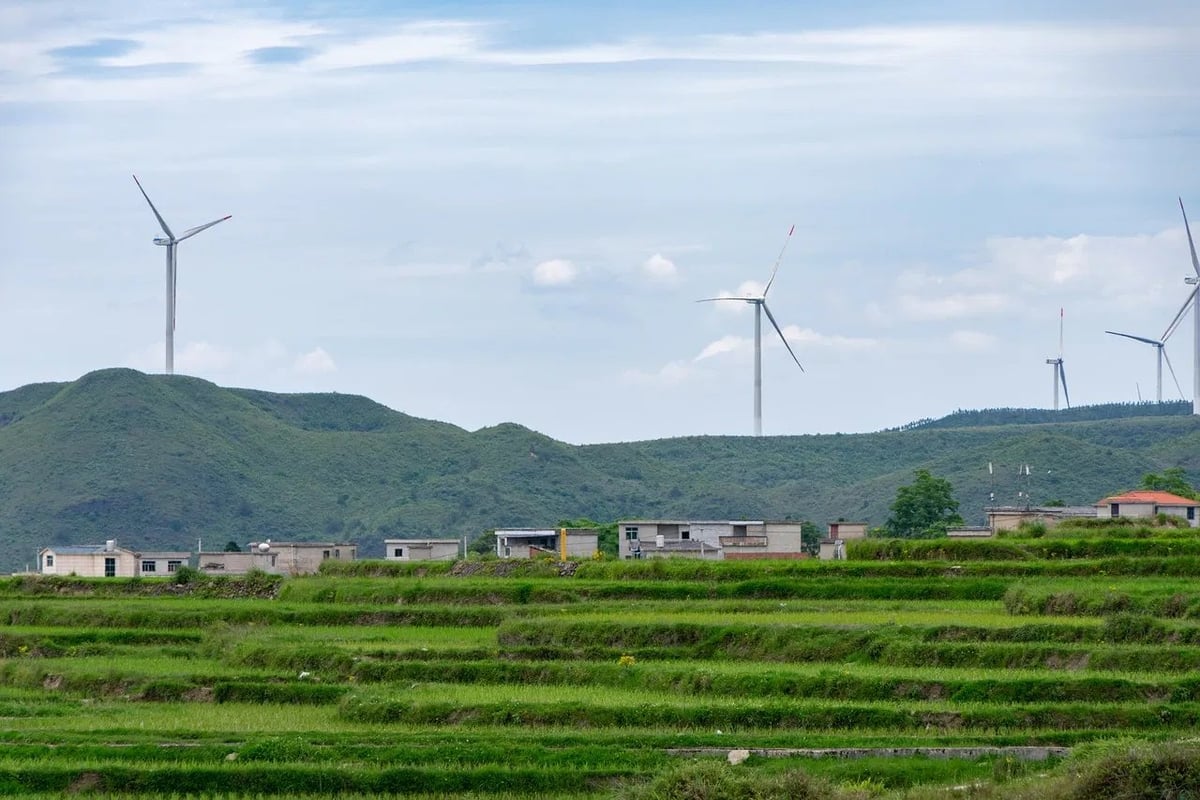 Transition Écologique : Découvrez l’Agence dédiée aux Énergies Durables