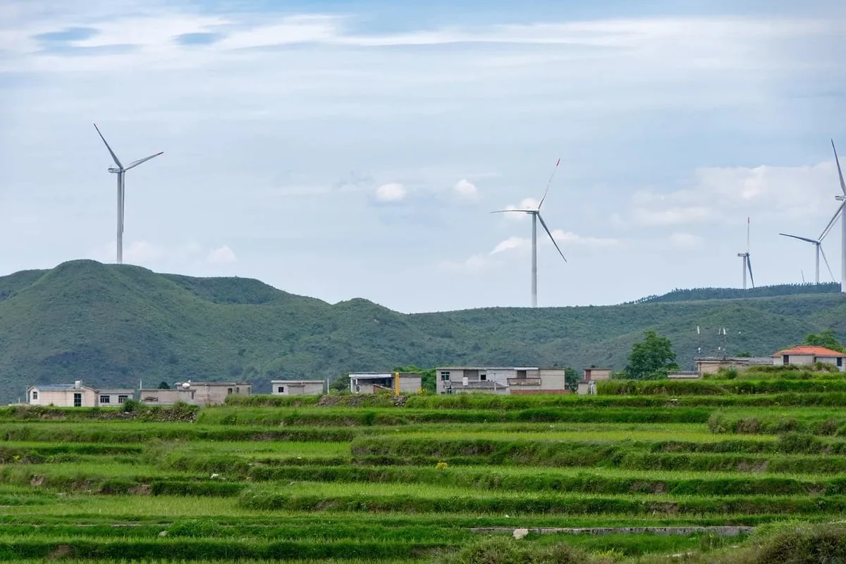 Transition Écologique : Découvrez l’Agence dédiée aux Énergies Durables