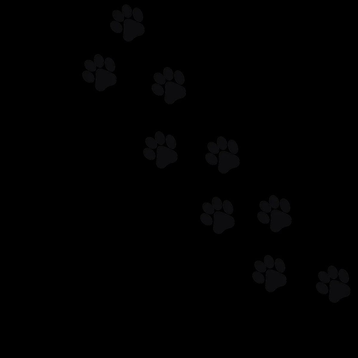 Le bilan carbone des énergies renouvelables : état des lieux