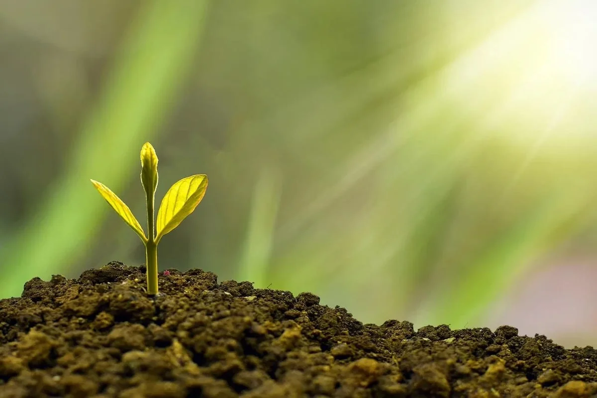 Agir pour la Planète : Ensemble pour un Avenir Durable