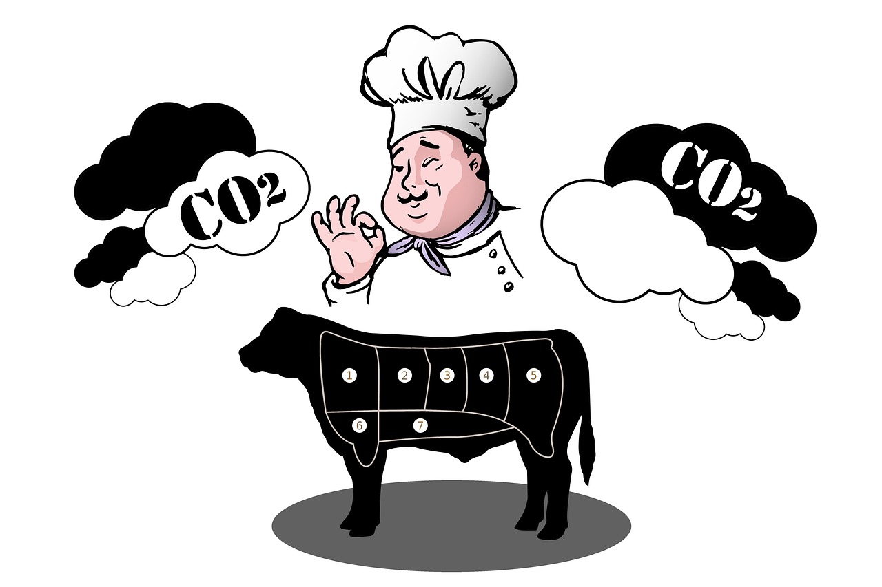 Bilan carbone : 8 questions essentielles pour tout comprendre