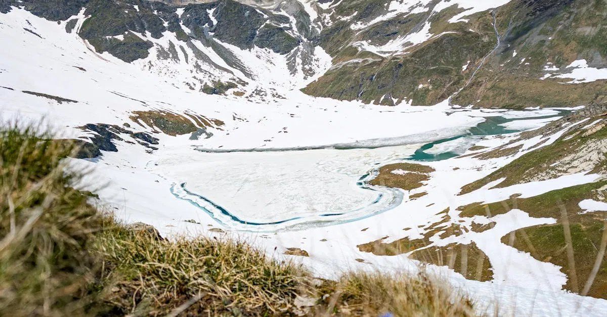 Time for action : l’urgence climatique en 2025